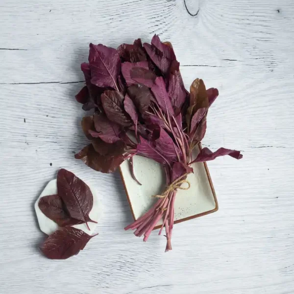 Amaranth-Red-Leaves