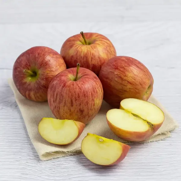 Apple-Shimla