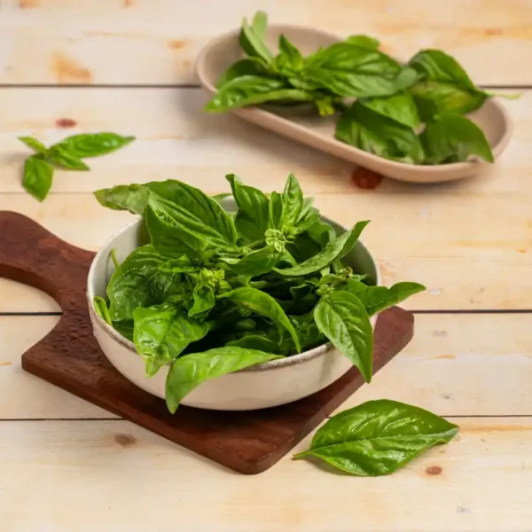 Basil-Italian