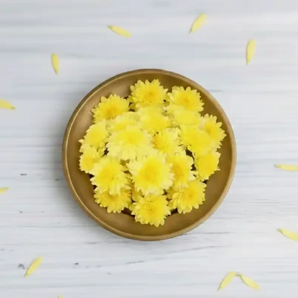 Chrysanthemum-Yellow-Flower
