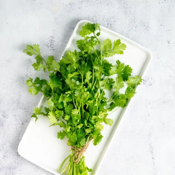 Coriander-Leaves