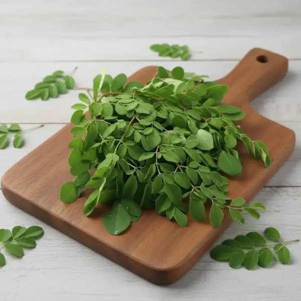 Drumstick-Leaves-Moringa-