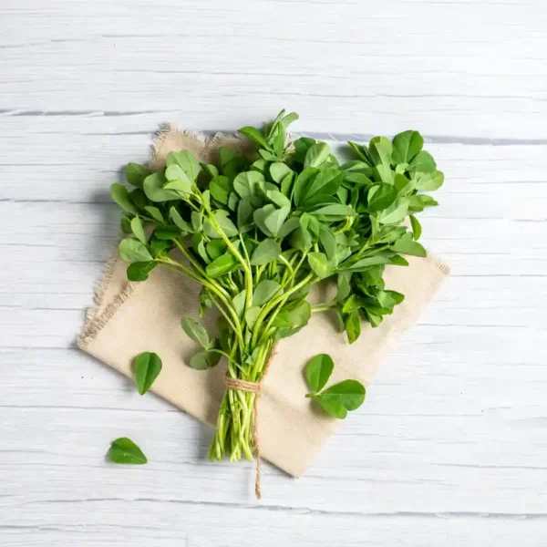 Fenugreek-Leaves-Methi-