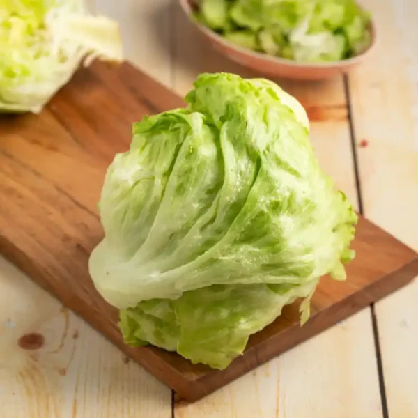 Lettuce-Iceberg