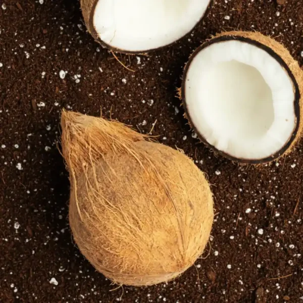 Organically-Grown-Coconut