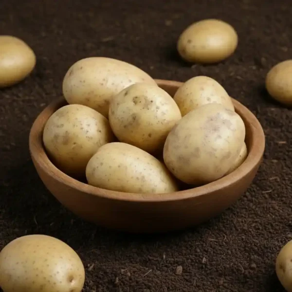 Organically-Grown-Potato