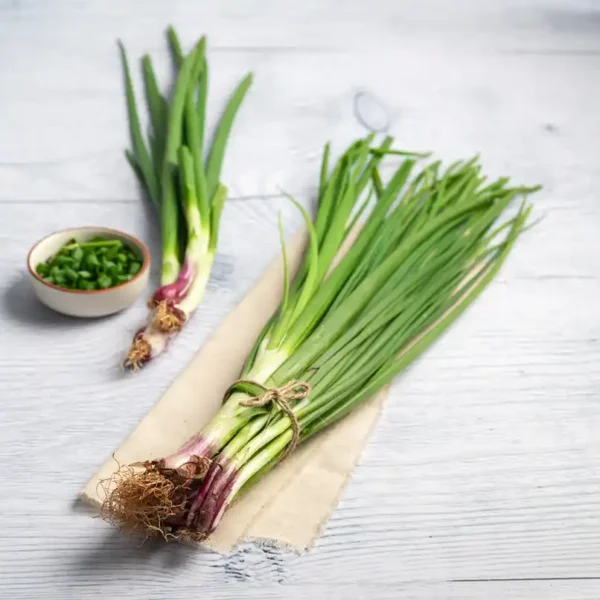Spring-Onion