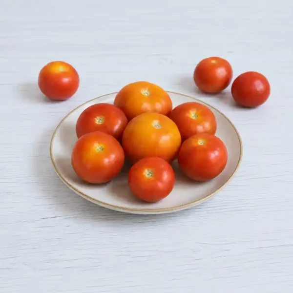 Tomato-Local