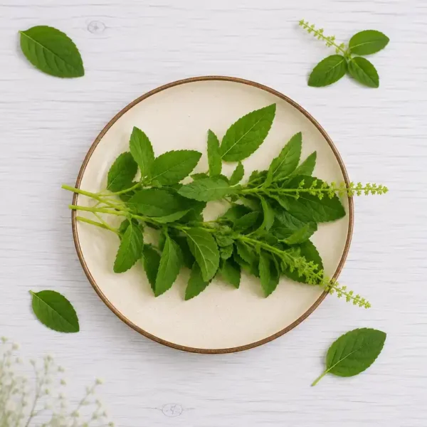 Tulsi-Leaves
